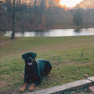 Meet your Posher, Courtney